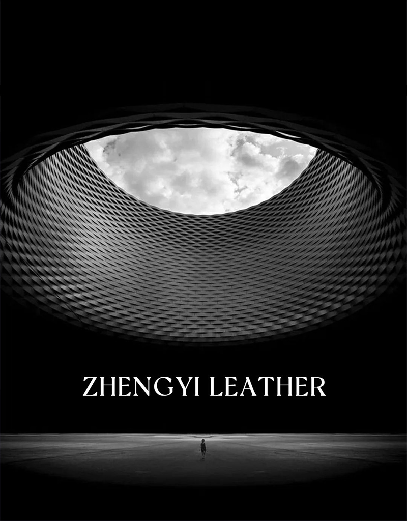 ZHENGYI | ҲǼ