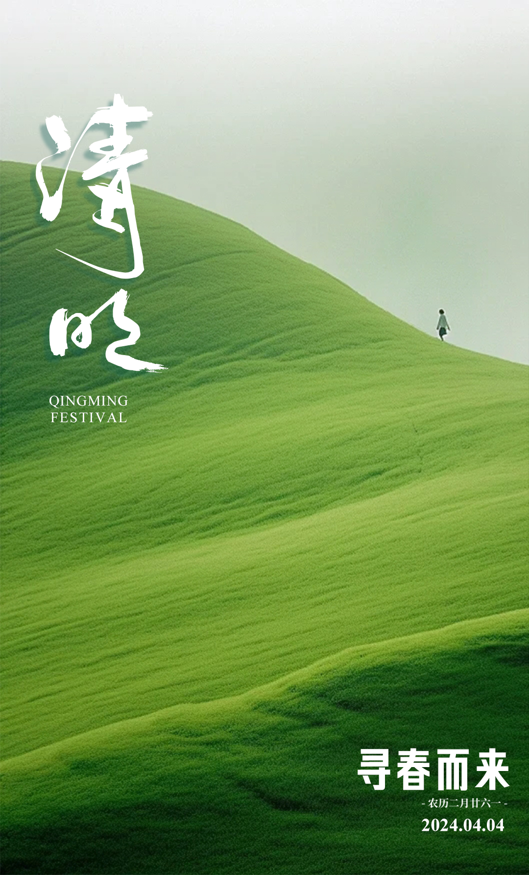 ZHENGYI | ʱڴŨ